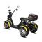 Электротрицикл SIBERTON PRO TRIKE 3000W